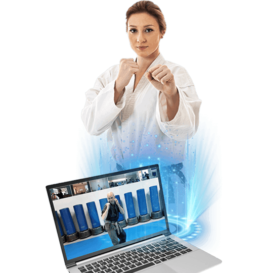 adult online martial arts classes